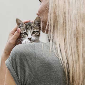 Infusiones naturales y hierbas aromáticas en España